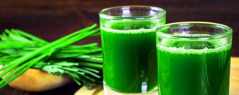 Wheatgrass is a nutrient-rich young grass belonging to the wheat family. It can be consumed in raw edible plant form or juiced into a liquid. It can also be freeze-dried and milled down to a tablet, capsule, or powder form.