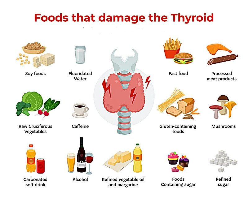 Some foods and nutrients influence the functioning of the thyroid gland
