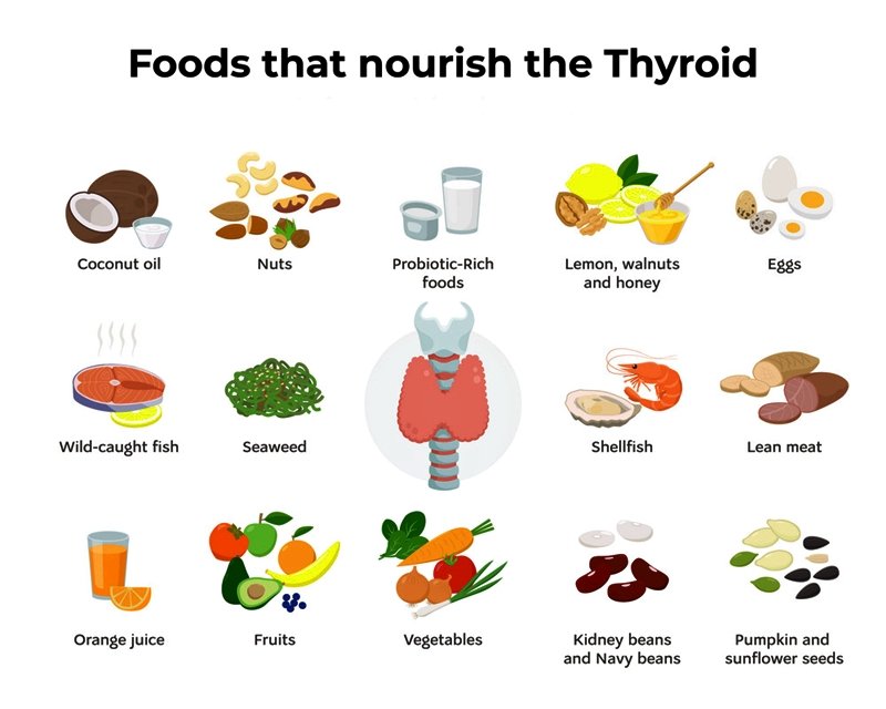 While there are also a variety of medical treatments available for thyroid conditions, eating right is often the first lifestyle change to make.